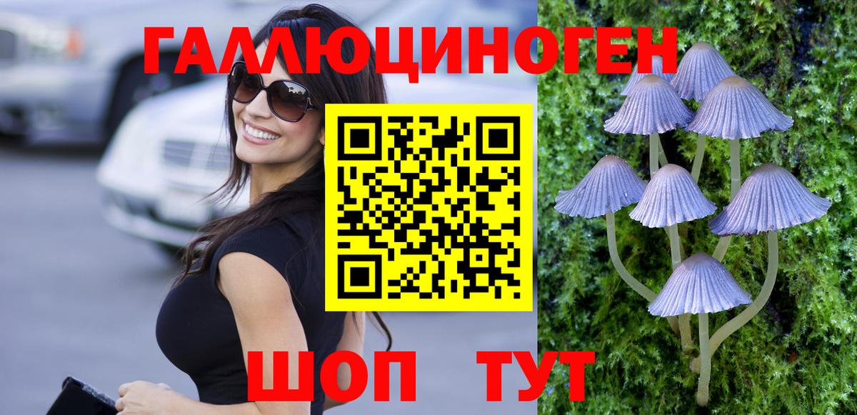 Галлюциногенные грибы Psilocybe Набережные Челны